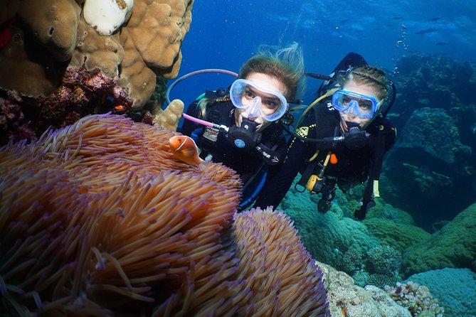 Quicksilver Dive 4 Day PADI Learn to Dive Course - Learning at 19 Warner Street before reaching the reef