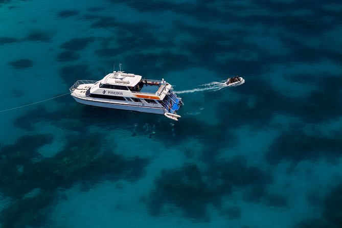 Quicksilver Dive 4 Day PADI Learn to Dive Course - What the feedback tells me about the experience