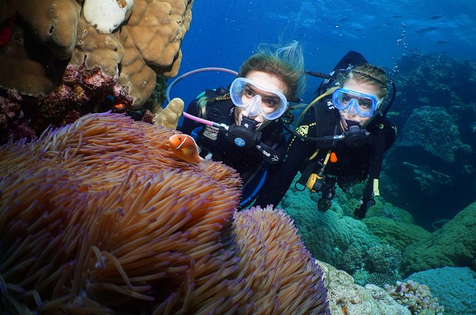 Quicksilver Dive 4 Day PADI Learn to Dive Course - Should you book the Quicksilver four-day course?