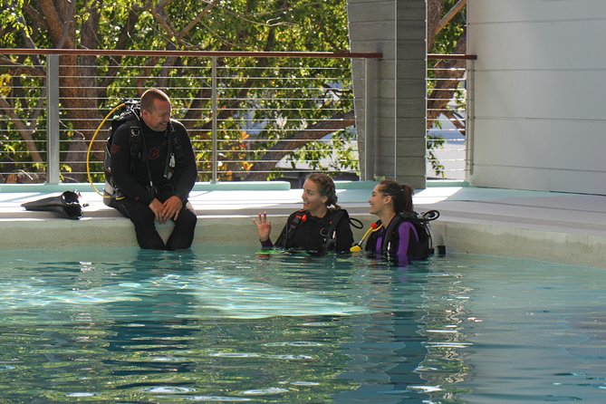 Quicksilver Dive 4 Day PADI Learn to Dive Course - Why the instructors make a difference