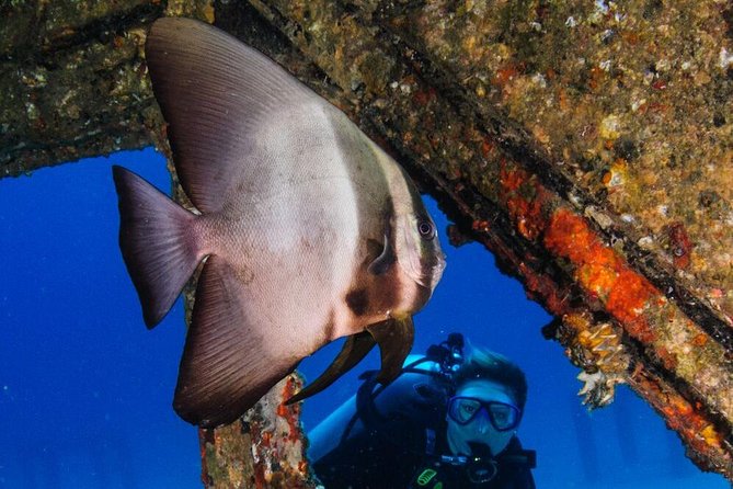 Racha Noi and Racha Yai Dive Trip from Phuket - Certified and non-certified participants