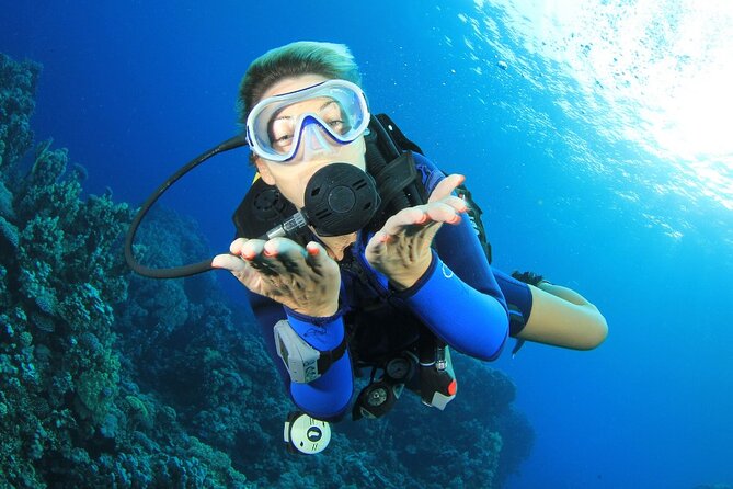 RAID Try-Dive Experience in Kota Kinabalu - Learning the equipment before going below