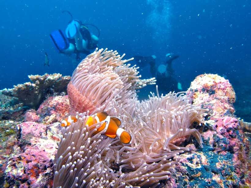 RAID Try-Dive in Kota Kinabalu, Sabah - The first session: learning in a sheltered bay