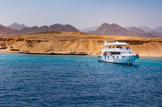 Ras Mohamed and White Island Snorkeling Trip and One Stop Diving-Sharm El Shiekh - The early pickup from Sharm El Sheikh