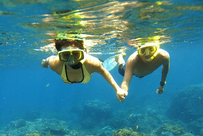 Ras Mohamed and White Island Snorkeling Trip and One Stop Diving-Sharm El Shiekh - The introductory scuba session