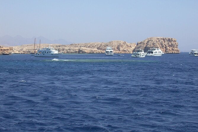 Ras Mohamed and White Island Snorkeling Trip and One Stop Diving-Sharm El Shiekh - What the $40 price really covers