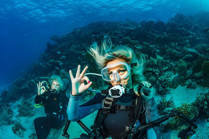 Ras Mohamed, White Island Trip, Two Stops Diving -Sharm El Sheikh - Lunch and drinks keep the day simple