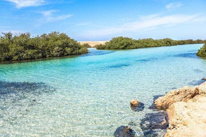 Ras Mohammed Diving Day Trip from Sharm el-Sheikh - Who will enjoy this most