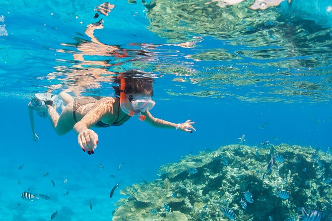 Ras Mohammed Diving & White Island Luxurious Cruise with Lunch - The crew and the feel of the day