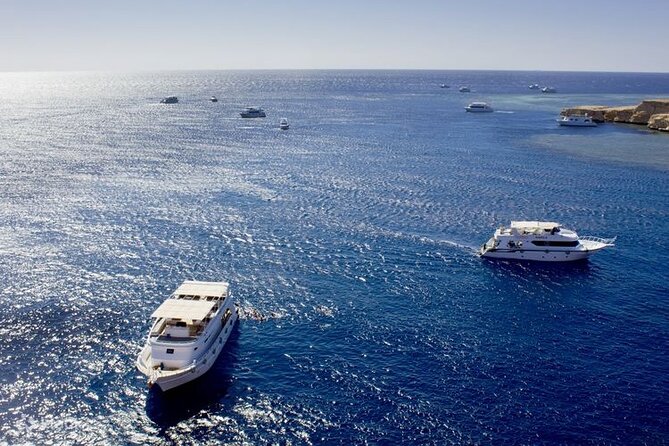 Ras Mohammed Diving & White Island Luxurious Cruise with Lunch - Ras Mohammed National Park and its clear water