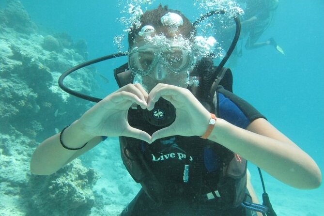 Red Sea Diving Trip from Hurghada: Beginner to Advanced Divers - Starting at 8:00 am from Hurghada