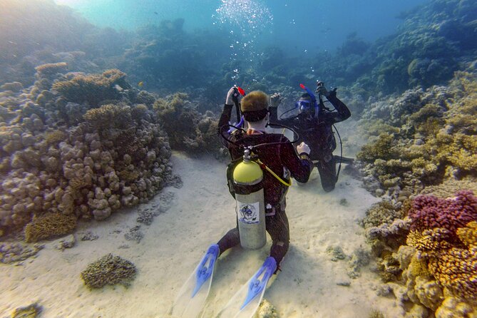 Red Sea Diving Trip from Hurghada: Beginner to Advanced Divers - Lunch, drinks, and time on deck