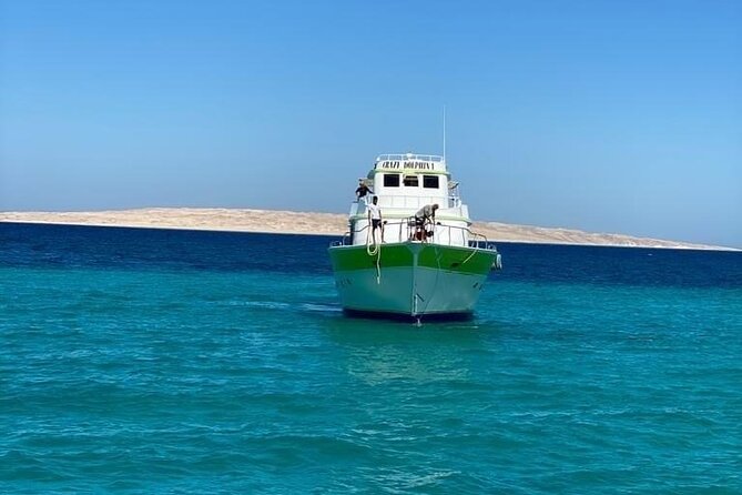 Red Sea Diving Trip from Hurghada: Beginner to Advanced Divers - First underwater session for beginners