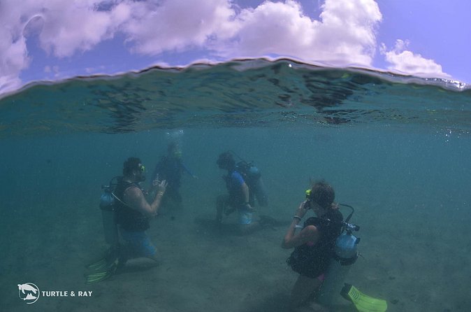 Refresher Dive - Who will get the most from this experience