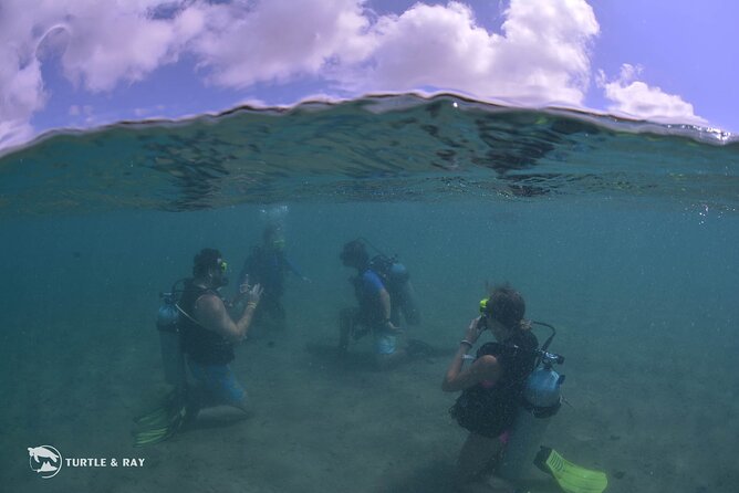 Refresher Dive - Walking to the shallow sandy bay