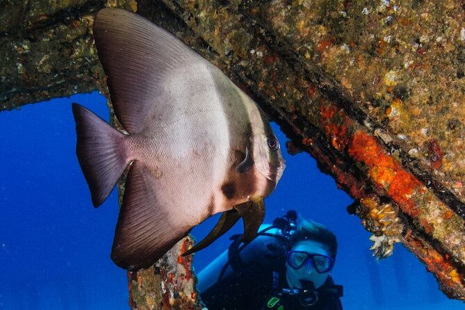 Refresher scuba diving trip, 3 dives at Racha Noi and Racha Yai - Starting at Racha Noi with two morning sessions