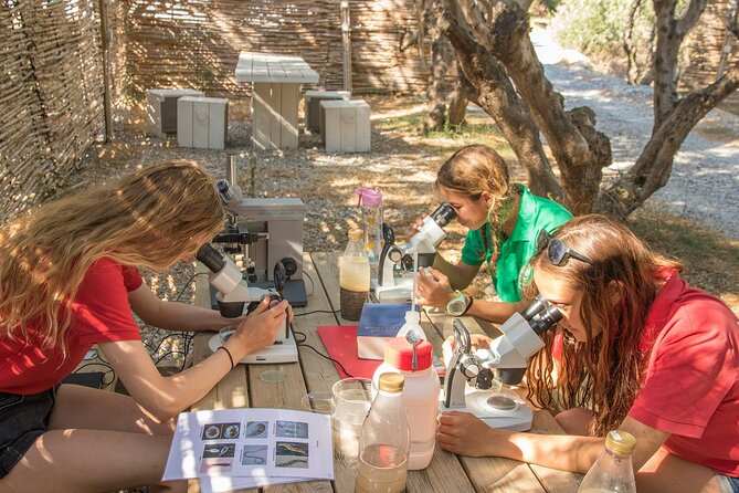 Research diving with a Marine Biologist in Crete - What citizen science means here