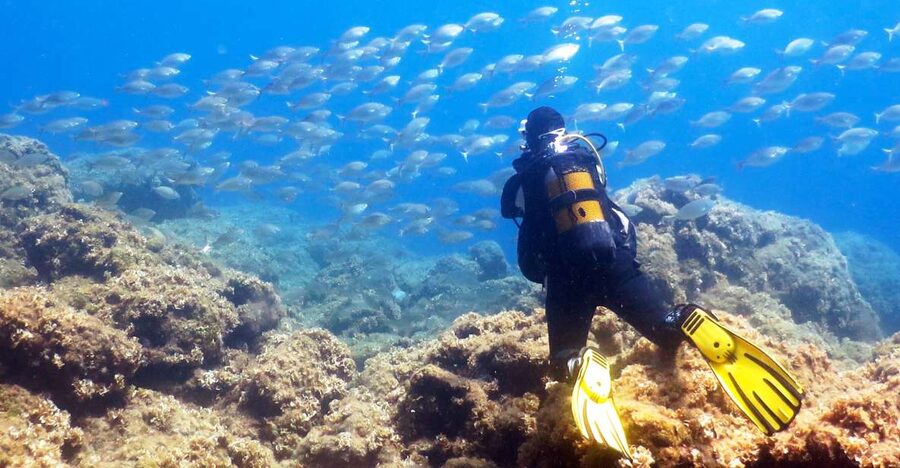Rhodes: Diving Adventure for Beginners and Experts - Key points at a glance