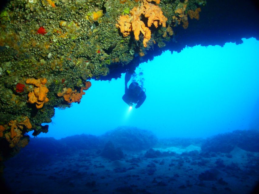 Rhodes: Diving Adventure for Beginners and Experts - Boat transport, snorkeling, and weather changes