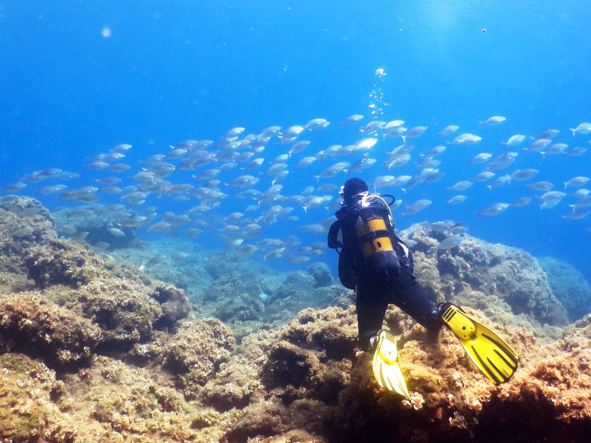 Rhodes: Diving Adventure for Beginners and Experts - Starting at The Waterhoppers or SEA Shuttle