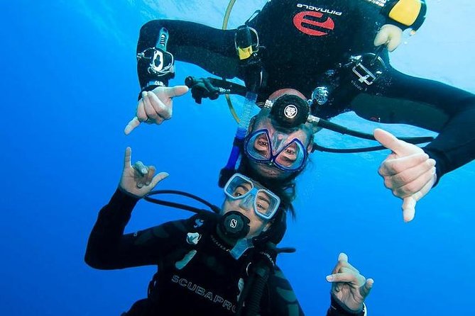 Rhodes Scuba Diving Experience - From Mandraki Harbour to Kallithea Bay