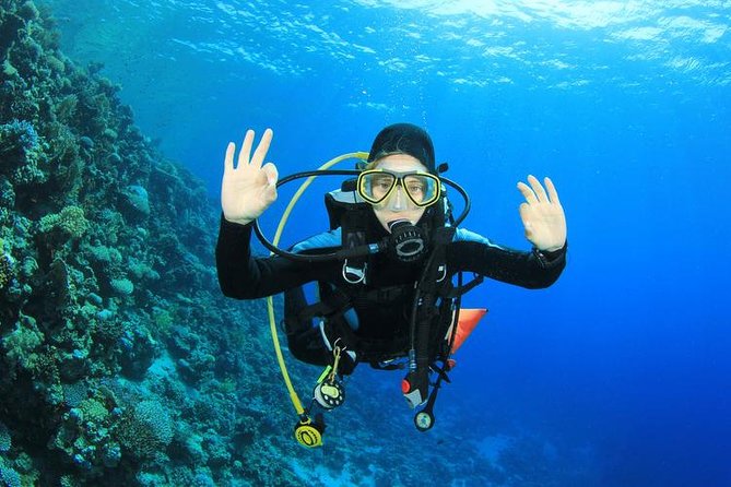 Rhodes Scuba Diving Experience - South Rhodes pickup and the half-day version