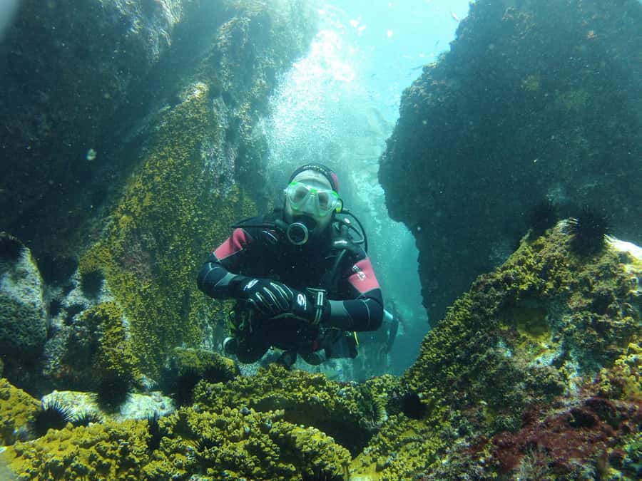Rio: Best Dive Experience All Inclusive Scuba Diving Package - Arrival at the marina and the 15-minute safety briefing