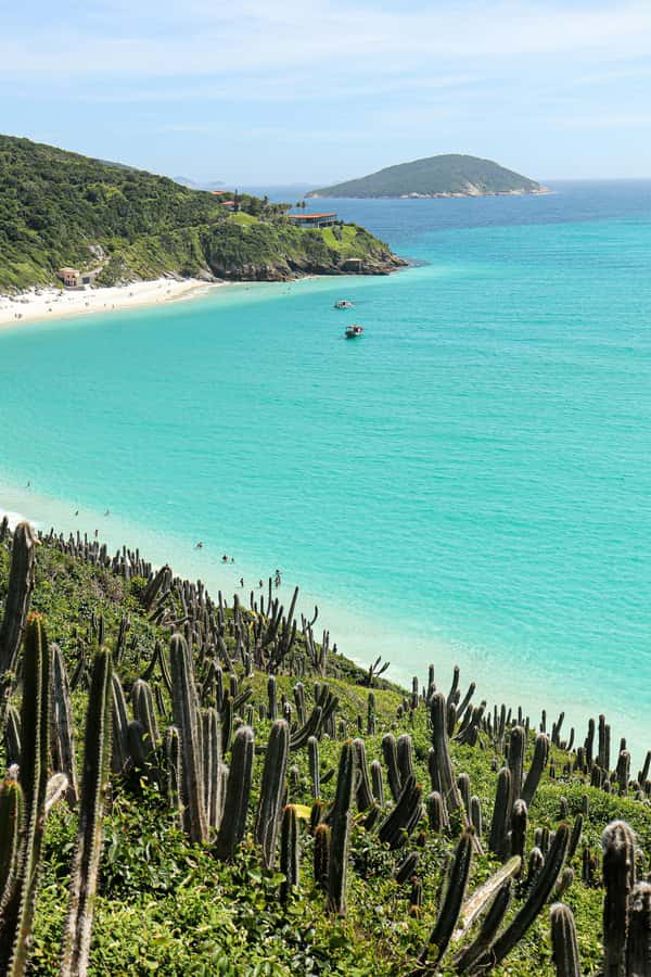Rio: Best Dive Experience All Inclusive Scuba Diving Package - Wind, visibility, and the limits of a sea outing