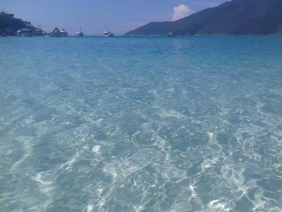 Rio de Janeiro: Arraial do Cabo Scuba Diving Day Trip - Is $255 a fair price?