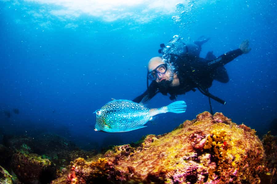 Rio de Janeiro: Arraial do Cabo Scuba Diving Day Trip - Why Arraial do Cabo makes this a special Rio day trip