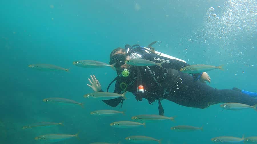 Rio de Janeiro: Arraial do Cabo Scuba Diving Day Trip - Reaching the harbor and preparing for the water