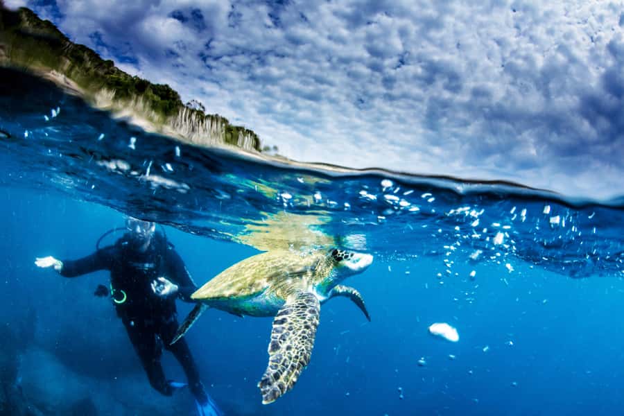 Rio de Janeiro: Arraial do Cabo Scuba Diving Day Trip - Lunch, breaks, and the return to Rio