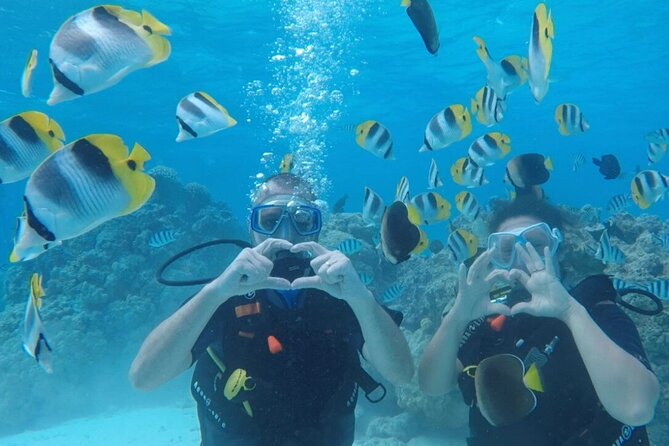 Romantic Dive for beginners in Bora Bora (2 people) with Video - A gentle first step into Bora Bora’s underwater world