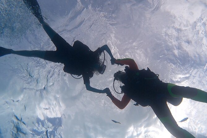 Romantic Dive for beginners in Bora Bora (2 people) with Video - The cameraman turns a first attempt into a keepsake