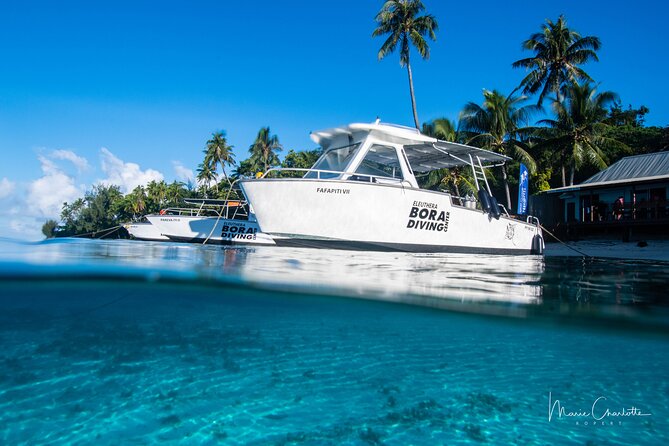 Romantic Dive for beginners in Bora Bora (2 people) with Video - A black pearl with a real sense of place