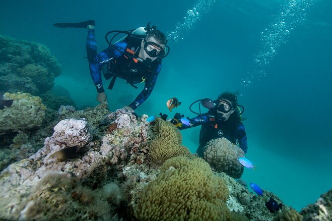Romantic dive in the lagoon of Bora Bora. Private instructor on a shared boat - What the two-hour outing looks like