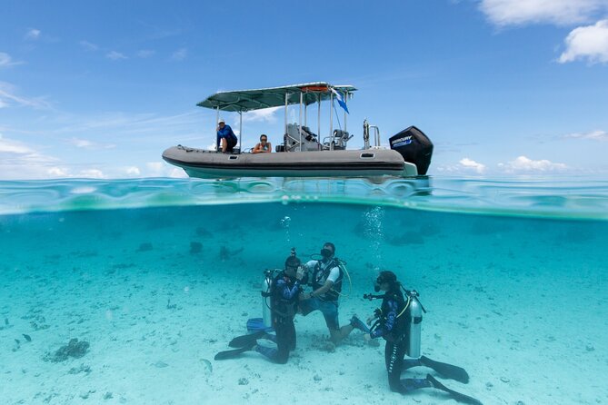 Romantic dive in the lagoon of Bora Bora. Private instructor on a shared boat - Bora Bora’s lagoon from below the surface