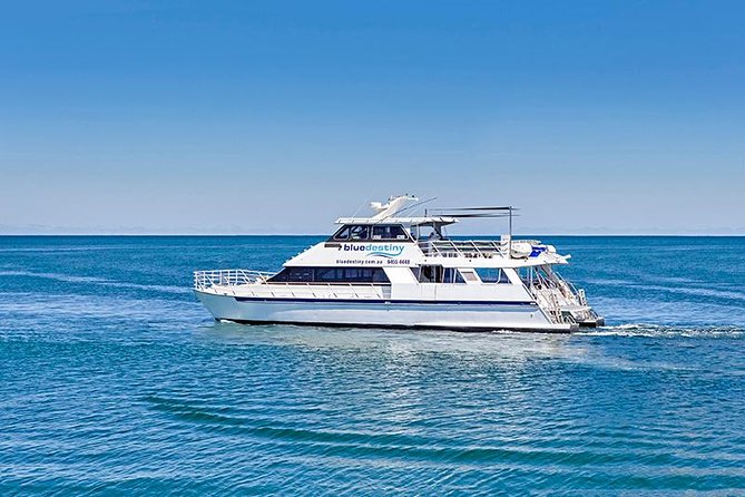 Rottnest Island Boat Dive Day Trip including Lunch - Why Rottnest’s limestone coast makes a good underwater day