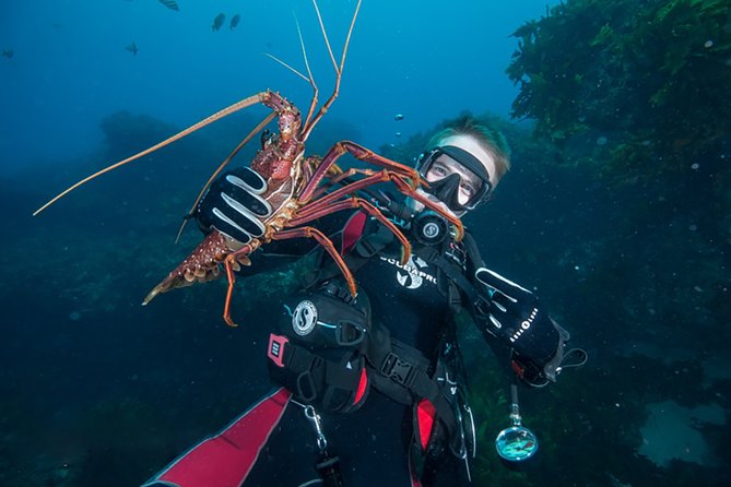 Rottnest Island Deep Dive Day Trips - Key points to know before booking