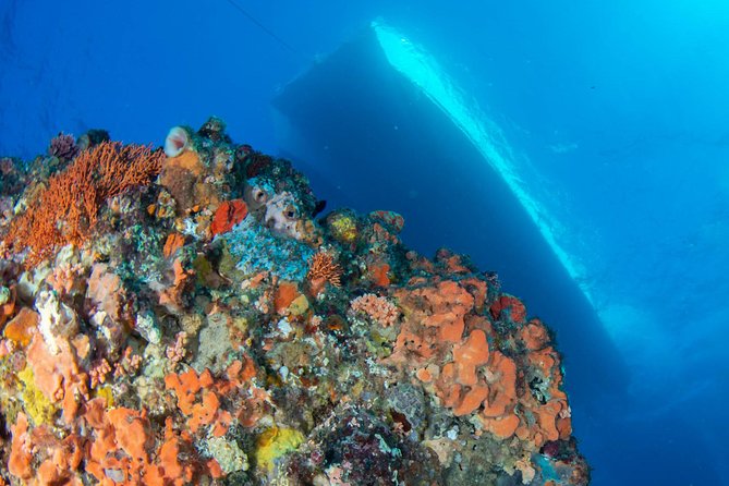 Rottnest Island scuba dive tour - What the Rottnest day actually includes