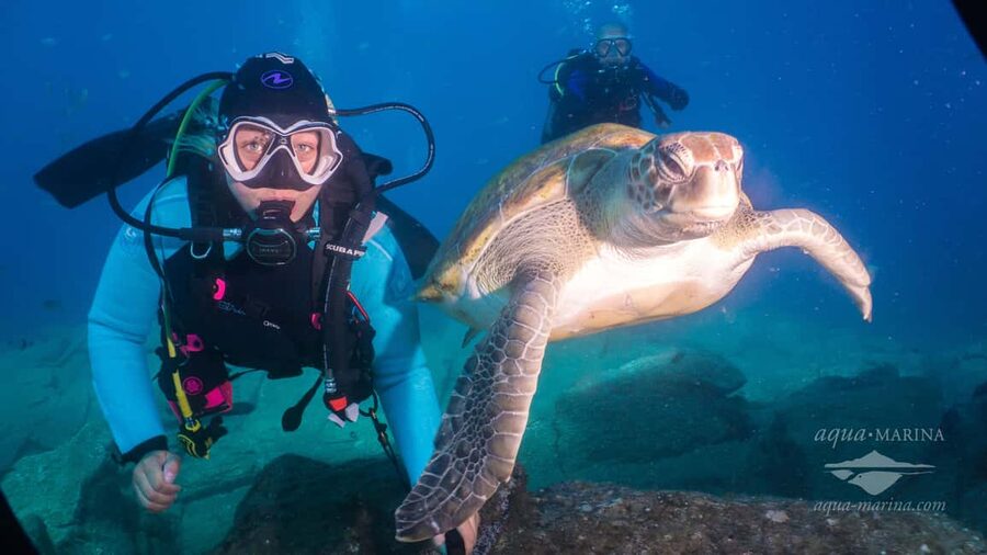 S. Tenerife: 2 Dives for Beginners (Beach + Boat Experience) - How this compares with a full PADI course