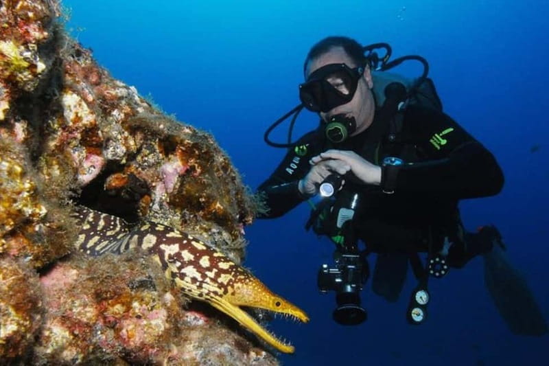 S Tenerife: Guided Boat Dive for Qualified Divers - Equipment, paperwork, and the safety briefing