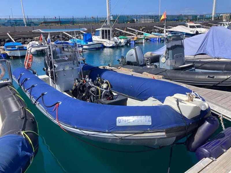 S Tenerife: Guided Boat Dive for Qualified Divers - How the 2.5-hour schedule works