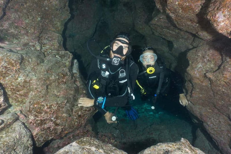 S Tenerife: Guided Boat Dive for Qualified Divers - Who will get the most from Aqua-Marina