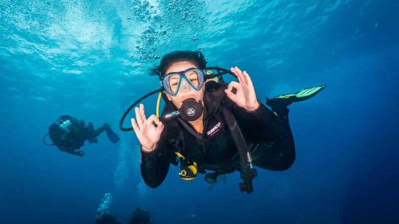 S Tenerife: Guided Boat Dive for Qualified Divers - Starting in Playa de las Américas