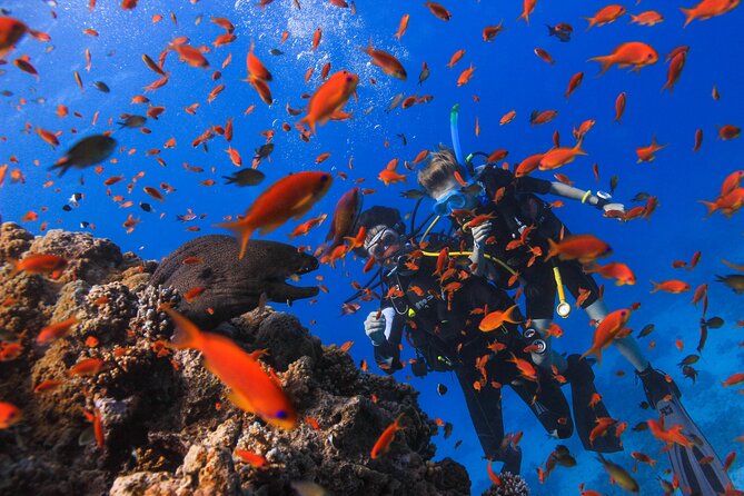 Safe Try dive-Personal instructor, 1:1 experience, Top boat - The 45-minute ride to the first reef