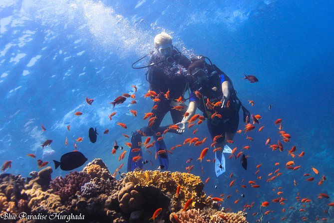 Safe Try dive-Personal instructor, 1:1 experience, Top boat - The morning pickup from Hurghada and nearby resorts