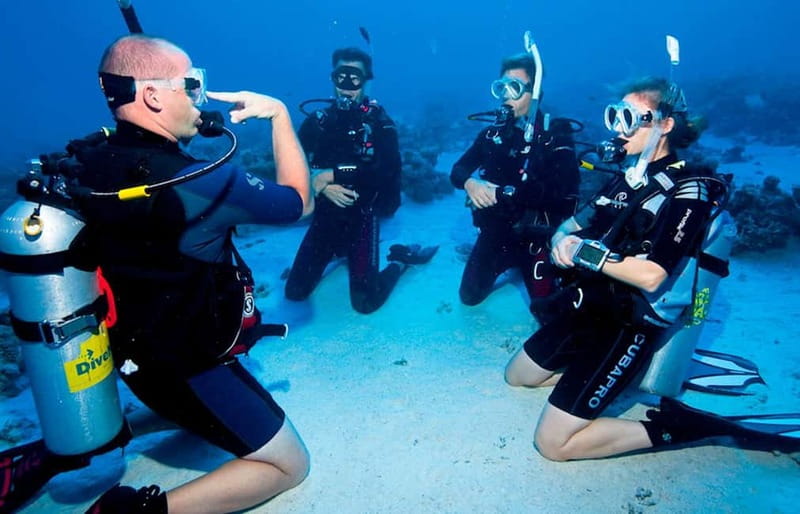 Salou: Fun Scuba Dive with Instructor (No License Needed) - A shallow underwater introduction, not a full course