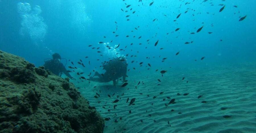Salou: Scuba Diving for Beginners - Key points to know before booking