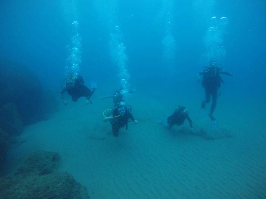 Salou: Scuba Diving for Beginners - Should you book the $100 session?
